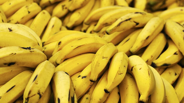 UK foundation campaigns for Colombian banana farmers
