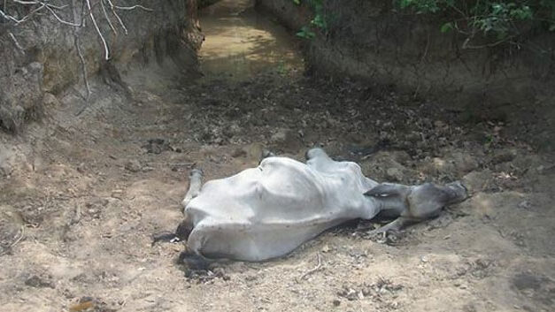 Authorities to investigate drought-driven devastation in east Colombia