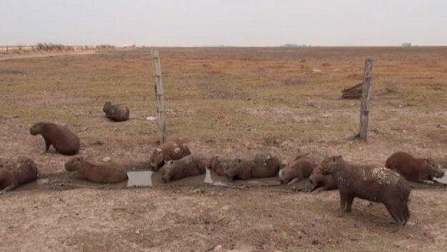 Oil companies to provide aid for drought in eastern Colombia