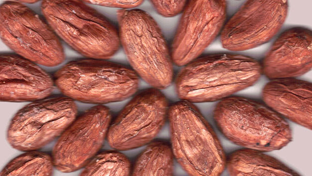 Colombia to increase international cacao promotion