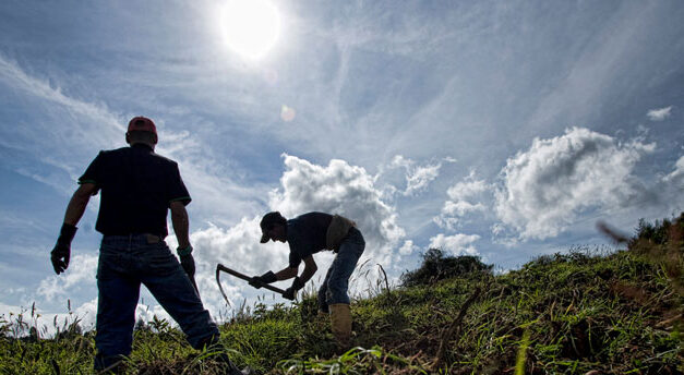 Inflation growth seen as positive by some Colombia farmers