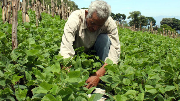 Colombia’s organic agriculture movement smallest in South America