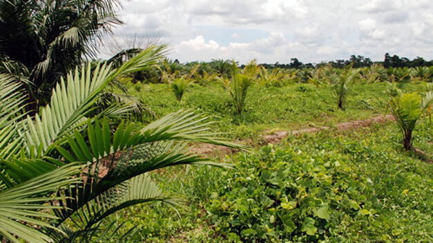 16 businessmen sentenced to prison for paramilitary ties