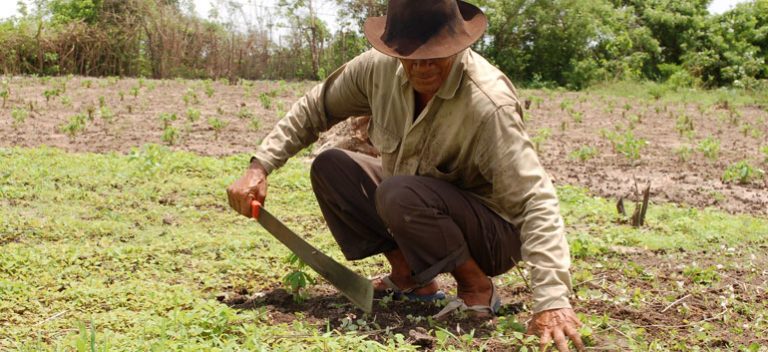 Colombia's agricultural sector requires $25B to prepare for future ...