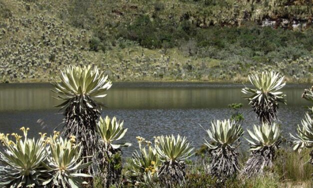 A hike up to paradise: Colombia’s Iguaque Park
