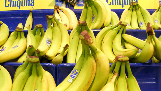 Brazil firm proposes takeover of company accused of Colombia paramilitary connections