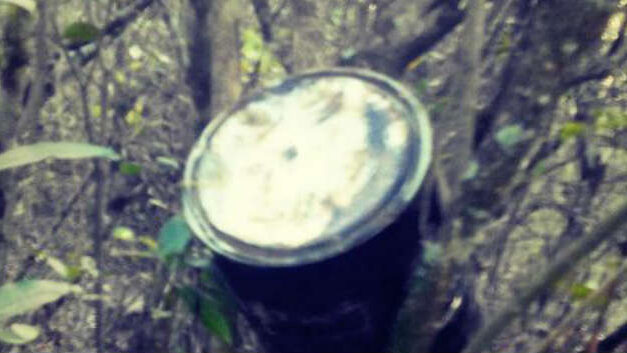 Tree bombs – The FARC’s new war tactic?