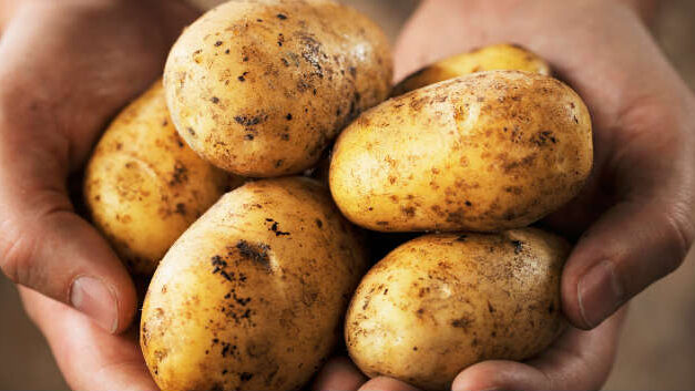 Central Colombia woman grows potato in vagina in ill-advised contraception attempt