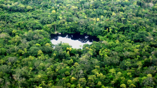 Colombia’s natural parks provide safe havens to rebel groups and drug traffickers