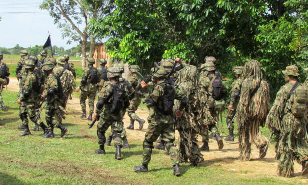 Nine FARC guerrillas killed in combat in central Colombia