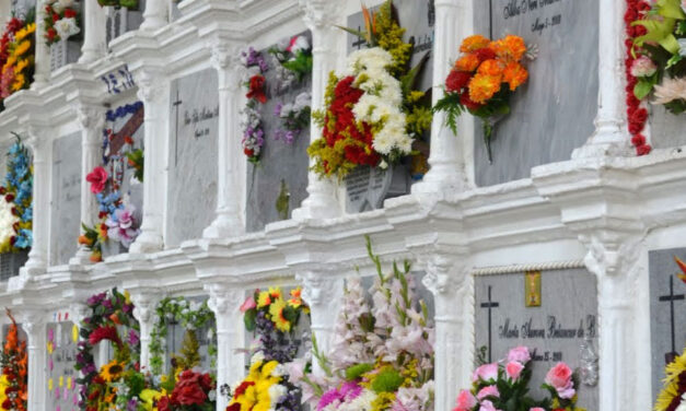 Violence in Colombia significantly reduces citizens’ life expectancy