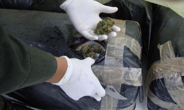 Police seizes 4 tons of marijuana in northeast Colombia