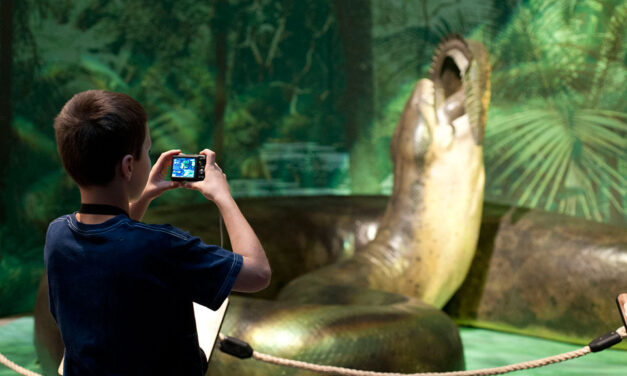 Largest snake in world history exposed in Bogota