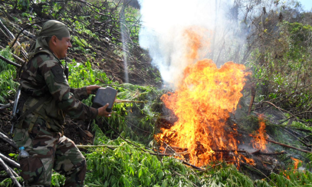 Police seizes more than 2 tons of marijuana in northwest Colombia