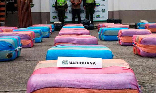 Police in west Colombia seize 3.7 tons of marijuana