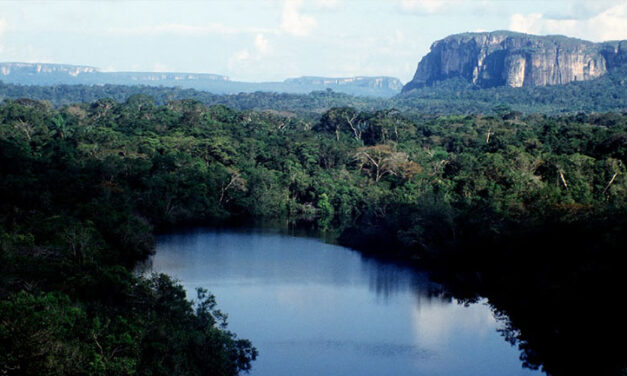 Colombia shields another 5,600 square miles of nature reserves from mining