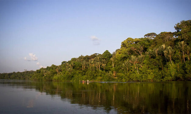 Colombia suspends gold mining in protected natural reserve