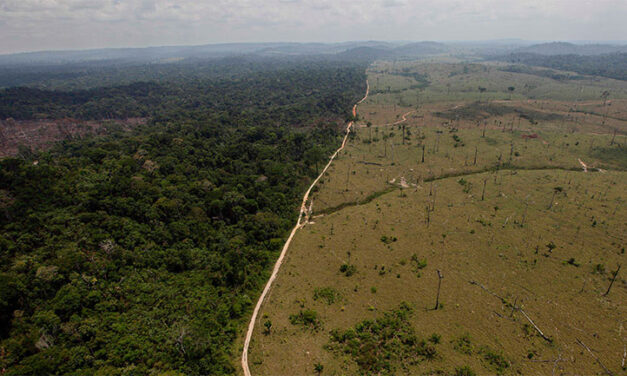 Deforestation in Colombia up 16% due to mining, lumbering, coca and drought
