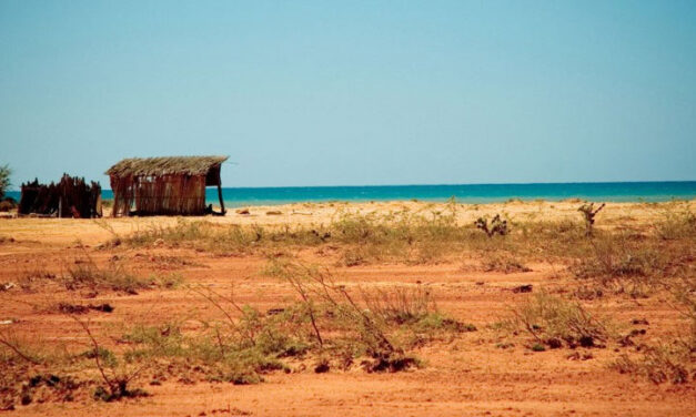 5 indigenous massacred in alleged land theft in north Colombia