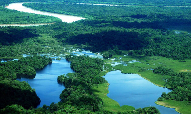 Colombia to expand nature reserves and protect biodiversity with foreign aid