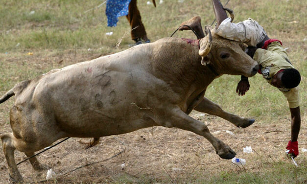 76 injured in north Colombia bullfights