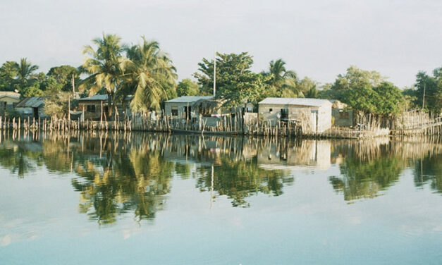 The continued destruction of Colombia’s largest wetland