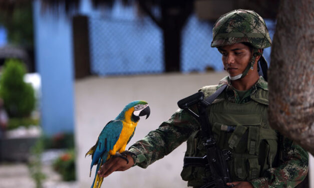 While not formal, Colombia has been enjoying de facto truce for 3 months