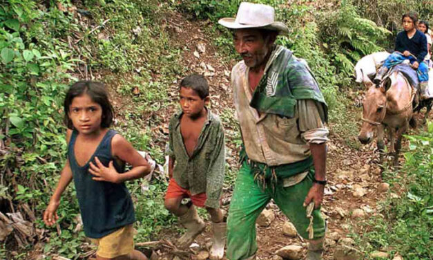 North Colombia ranchers owning stolen land claim to be land restitution victims