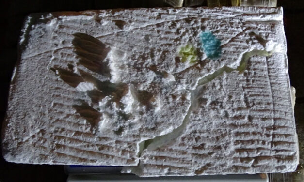 Navy seizes over 1 ton of cocaine in southwestern Colombia