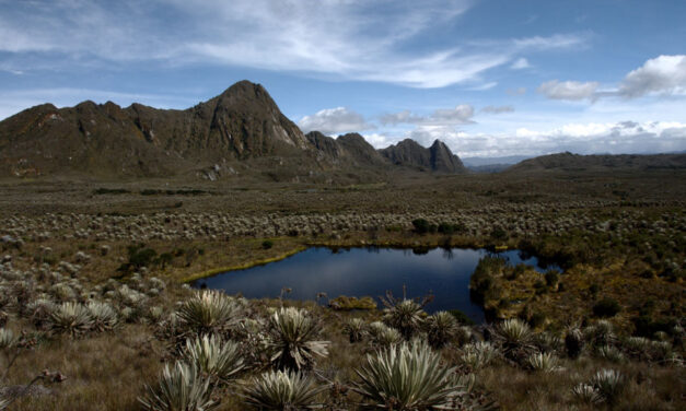 Almost half of Colombia’s protected ecosystems in danger of extinction