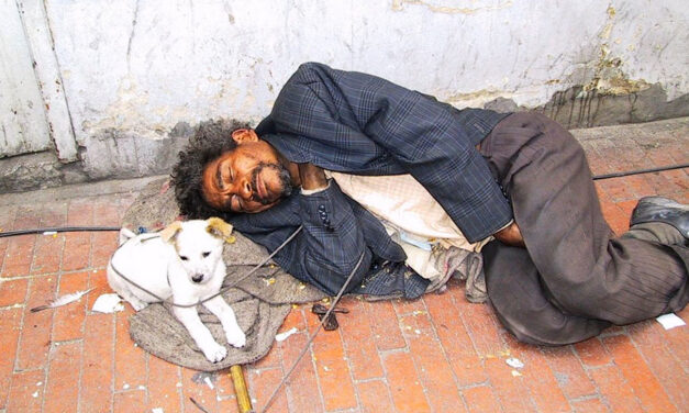 Criminal investigations underway into alleged poisoning and disappearing of Bogota’s homeless