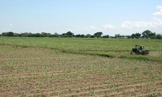 Colombia prosecutors seize $98M in FARC assets