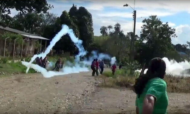 South Colombia coca growers say government is breaching crop substitution deal