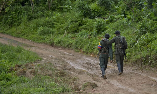 ‘Paramilitaries’ kidnap former FARC guerrillas in farm raid