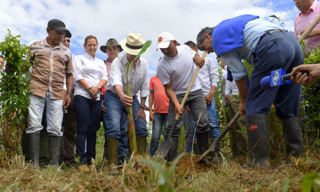 What went wrong in Colombia’s new drug policy