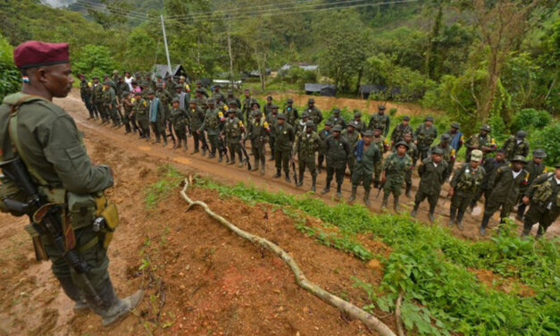 NGOs helped FARC compose inflated demobilization list: report