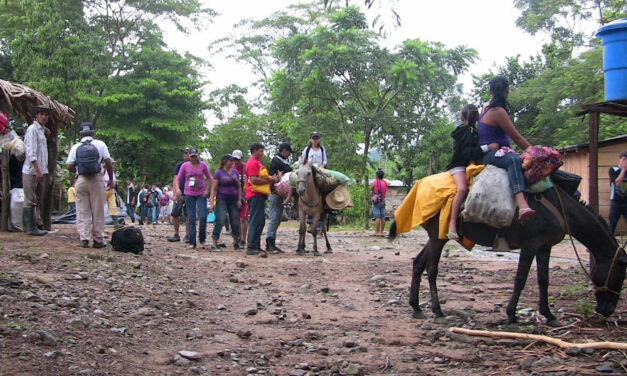 Only 16% of Colombia’s displaced were uprooted by combat