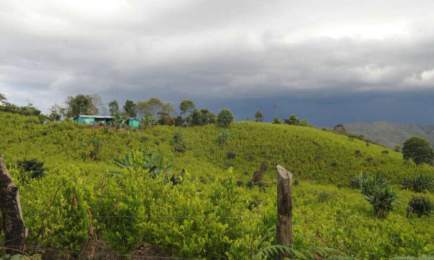 Colombia’s frontlines of the drug war: Cauca