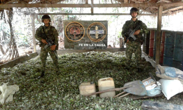 Colombia meets coca eradication deadline, hints shift to crop substitution