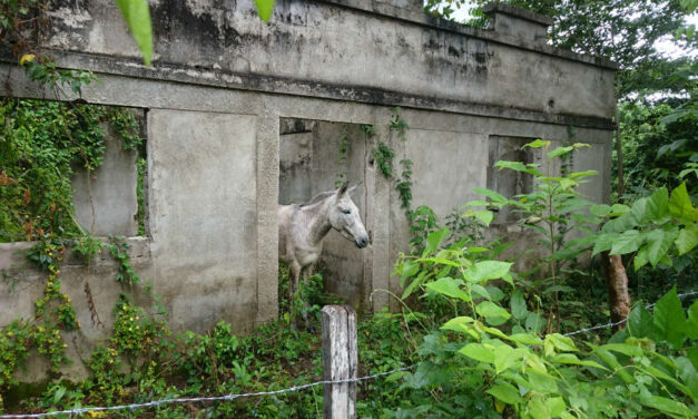 How a village called ‘United States’ only just survived Colombia’s armed conflict