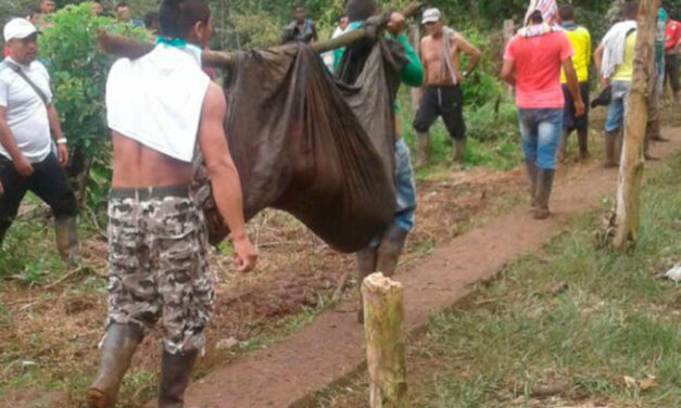 Military massacre in southwest Colombia? At least 8 killed, 18 injured in coca protest