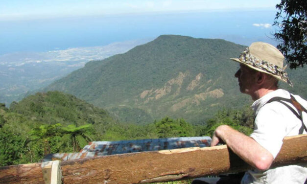 Why Colombia needs a new bird book