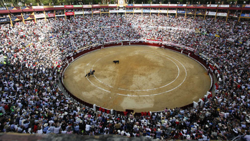 Colombia's government calls for ban on bullfighting