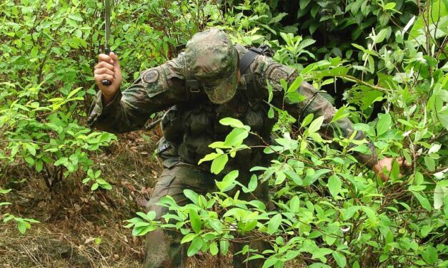 Colombia’s coca cultivation boom may be over, US says, as 2018 holds steady