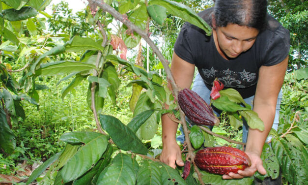 US shifting away from hardline stance on Colombia drug trafficking