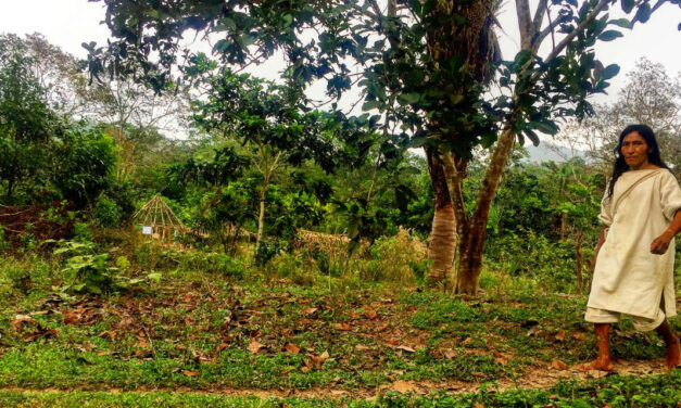 Colombia’s older brothers