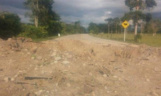 ‘FARC dissidents’ blow up road and themselves: Police