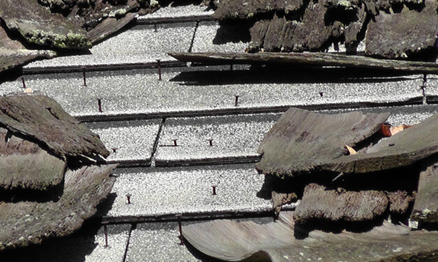 Ahead of most other countries, Colombia bans asbestos