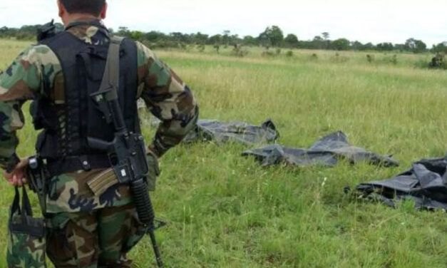 Colombia’s combat kills increase 87%: study