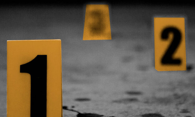 Two social leaders reported murdered in one day, four demobilized rebels in a week